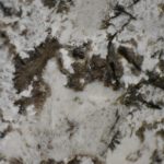 Bianco Antico