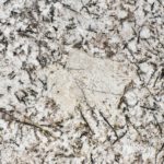 Bianco Antico