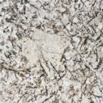 Bianco Antico
